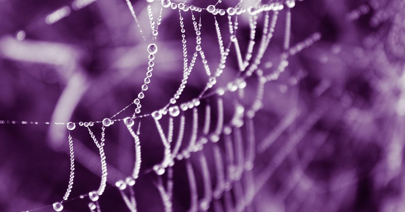 How to Start Learning Web Development From Scratch: A Beginner's Guide